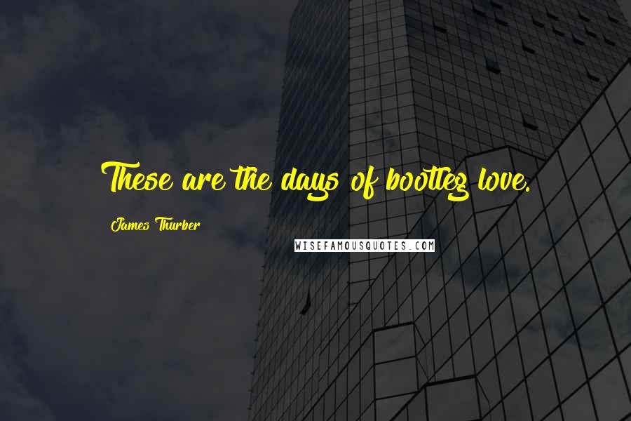 James Thurber Quotes: These are the days of bootleg love.