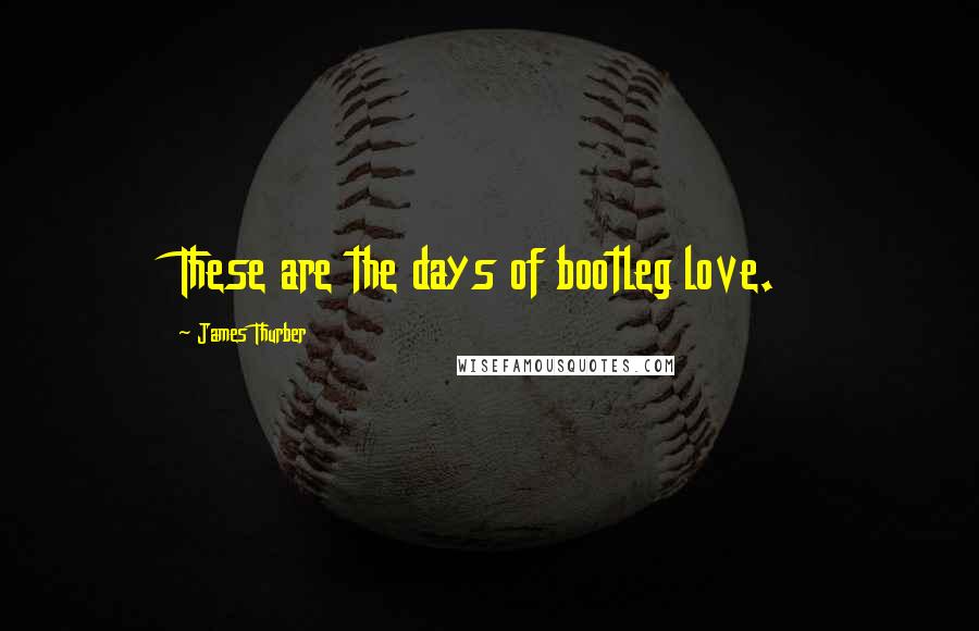 James Thurber Quotes: These are the days of bootleg love.