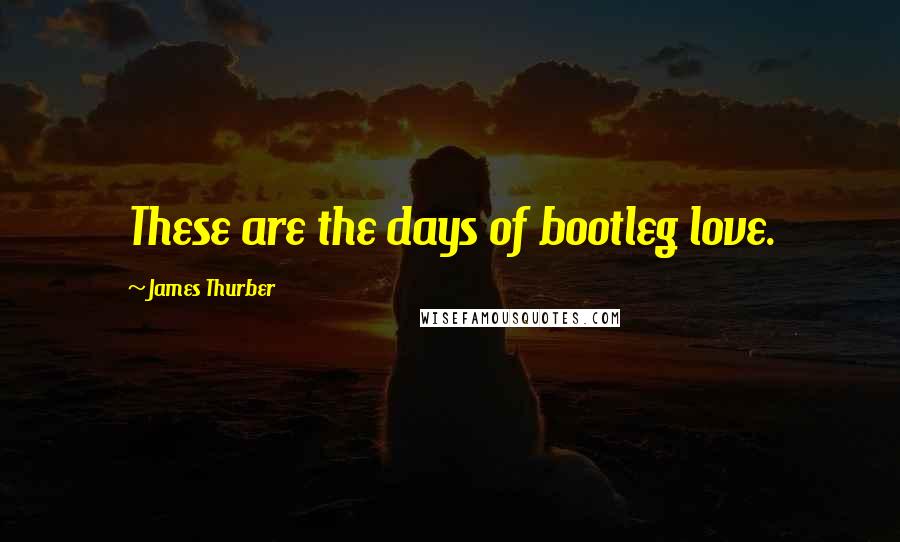 James Thurber Quotes: These are the days of bootleg love.