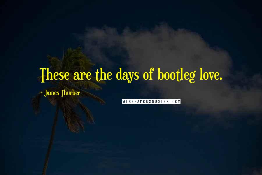 James Thurber Quotes: These are the days of bootleg love.