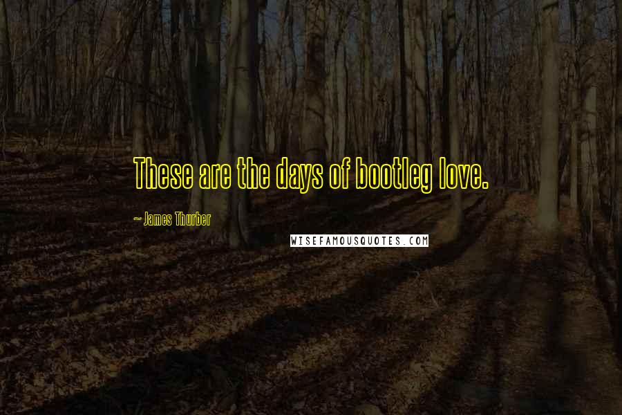 James Thurber Quotes: These are the days of bootleg love.