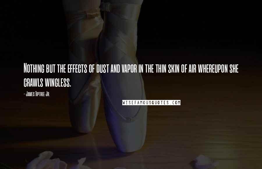 James Tiptree Jr. Quotes: Nothing but the effects of dust and vapor in the thin skin of air whereupon she crawls wingless.