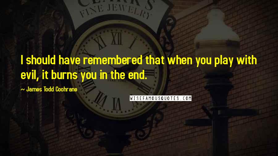 James Todd Cochrane Quotes: I should have remembered that when you play with evil, it burns you in the end.