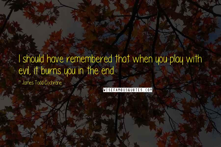 James Todd Cochrane Quotes: I should have remembered that when you play with evil, it burns you in the end.