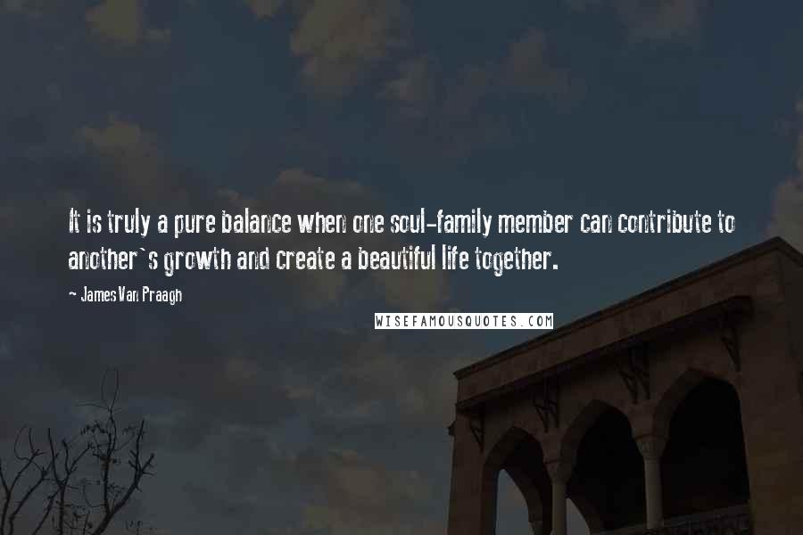 James Van Praagh Quotes: It is truly a pure balance when one soul-family member can contribute to another's growth and create a beautiful life together.