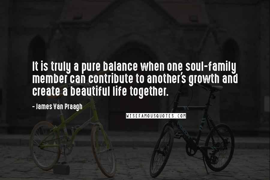 James Van Praagh Quotes: It is truly a pure balance when one soul-family member can contribute to another's growth and create a beautiful life together.