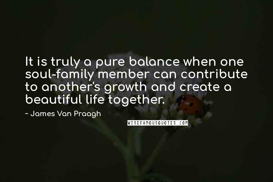 James Van Praagh Quotes: It is truly a pure balance when one soul-family member can contribute to another's growth and create a beautiful life together.