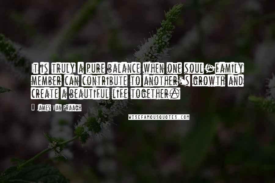 James Van Praagh Quotes: It is truly a pure balance when one soul-family member can contribute to another's growth and create a beautiful life together.