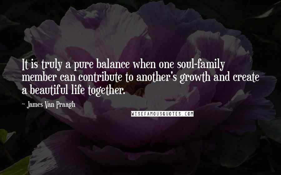 James Van Praagh Quotes: It is truly a pure balance when one soul-family member can contribute to another's growth and create a beautiful life together.