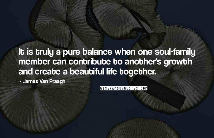 James Van Praagh Quotes: It is truly a pure balance when one soul-family member can contribute to another's growth and create a beautiful life together.
