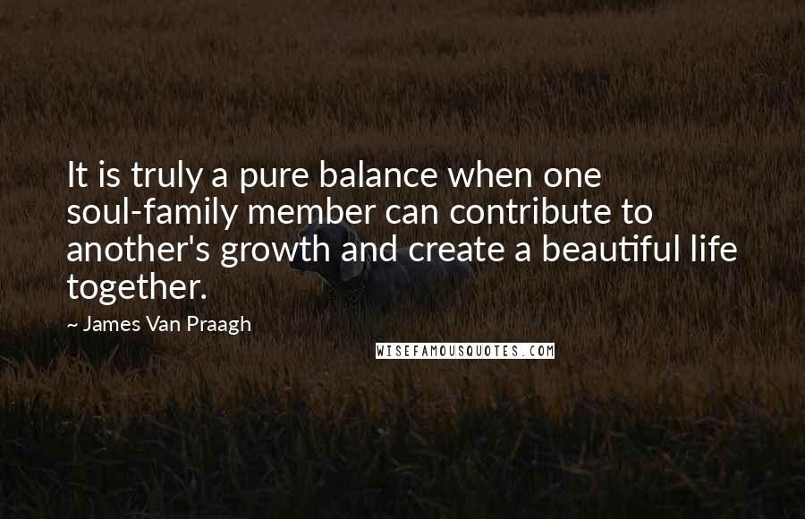 James Van Praagh Quotes: It is truly a pure balance when one soul-family member can contribute to another's growth and create a beautiful life together.