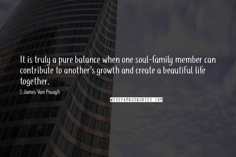 James Van Praagh Quotes: It is truly a pure balance when one soul-family member can contribute to another's growth and create a beautiful life together.