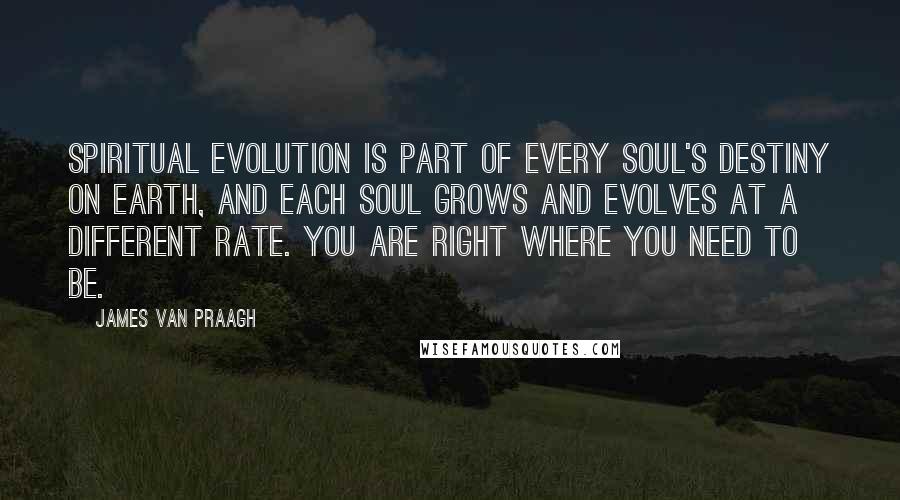 James Van Praagh Quotes: Spiritual evolution is part of every soul's destiny on Earth, and each soul grows and evolves at a different rate. You are right where you need to be.