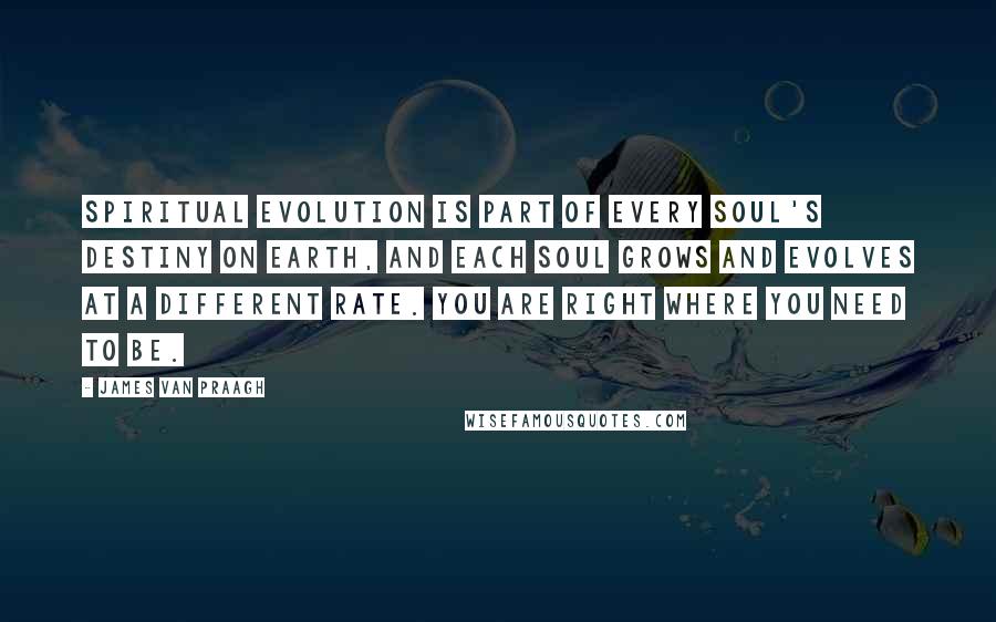 James Van Praagh Quotes: Spiritual evolution is part of every soul's destiny on Earth, and each soul grows and evolves at a different rate. You are right where you need to be.