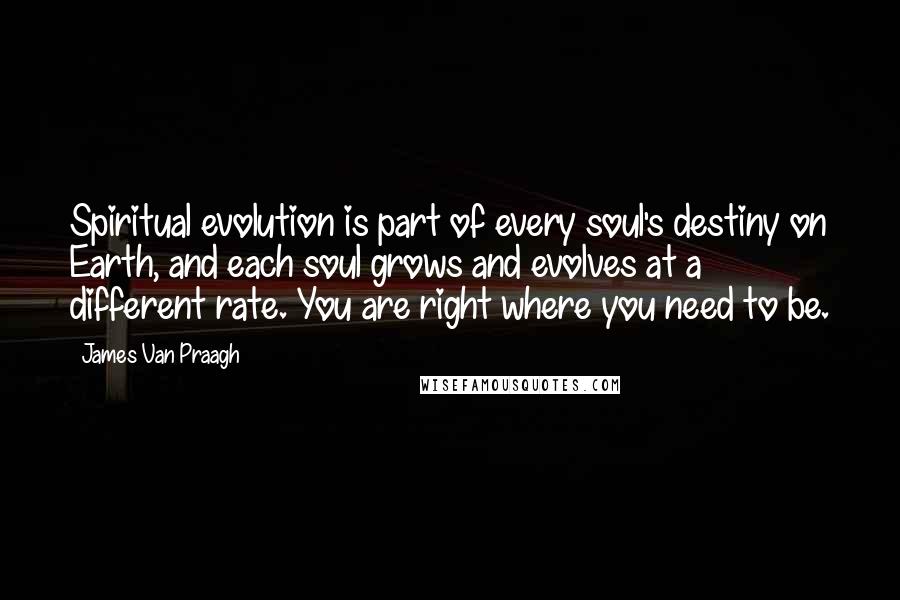 James Van Praagh Quotes: Spiritual evolution is part of every soul's destiny on Earth, and each soul grows and evolves at a different rate. You are right where you need to be.