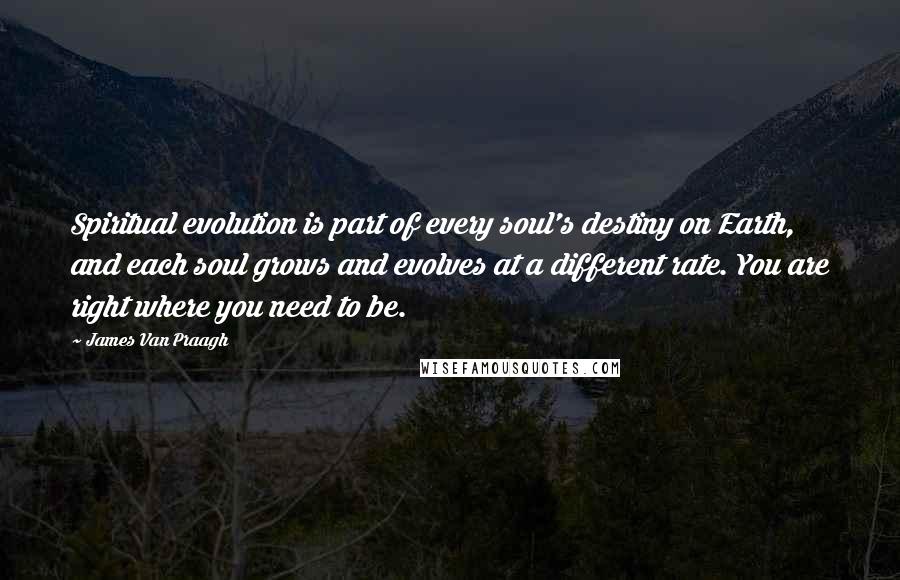 James Van Praagh Quotes: Spiritual evolution is part of every soul's destiny on Earth, and each soul grows and evolves at a different rate. You are right where you need to be.