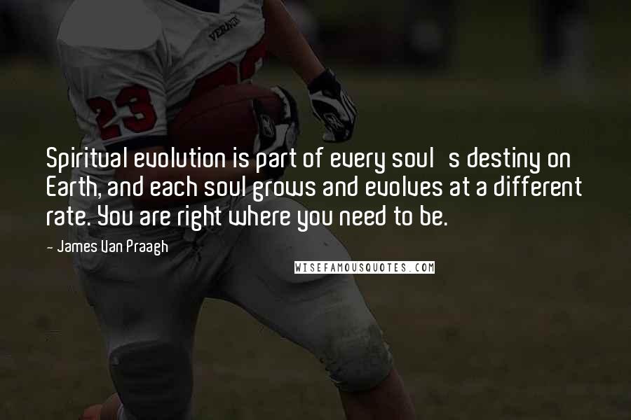 James Van Praagh Quotes: Spiritual evolution is part of every soul's destiny on Earth, and each soul grows and evolves at a different rate. You are right where you need to be.