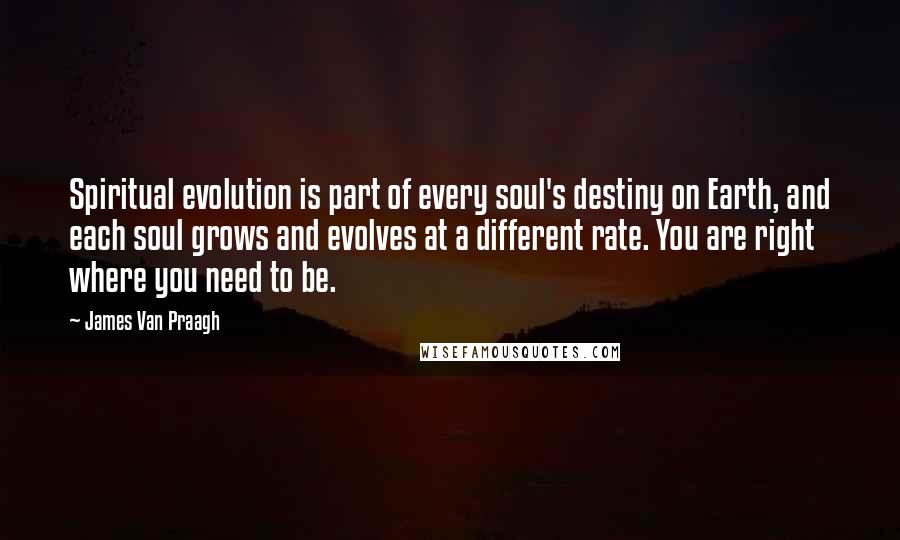 James Van Praagh Quotes: Spiritual evolution is part of every soul's destiny on Earth, and each soul grows and evolves at a different rate. You are right where you need to be.