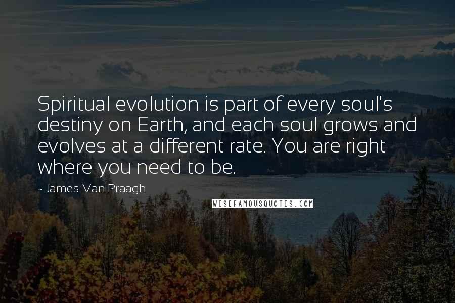 James Van Praagh Quotes: Spiritual evolution is part of every soul's destiny on Earth, and each soul grows and evolves at a different rate. You are right where you need to be.