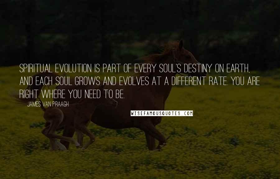 James Van Praagh Quotes: Spiritual evolution is part of every soul's destiny on Earth, and each soul grows and evolves at a different rate. You are right where you need to be.