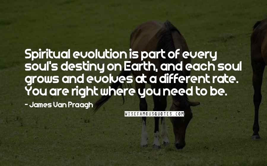 James Van Praagh Quotes: Spiritual evolution is part of every soul's destiny on Earth, and each soul grows and evolves at a different rate. You are right where you need to be.