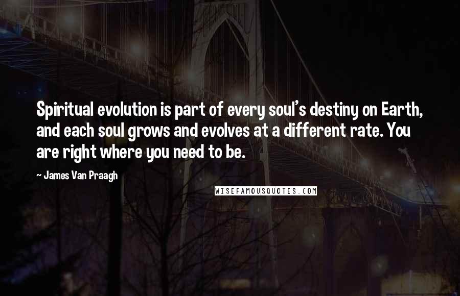 James Van Praagh Quotes: Spiritual evolution is part of every soul's destiny on Earth, and each soul grows and evolves at a different rate. You are right where you need to be.