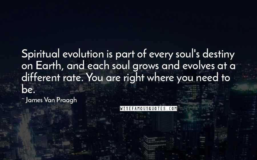 James Van Praagh Quotes: Spiritual evolution is part of every soul's destiny on Earth, and each soul grows and evolves at a different rate. You are right where you need to be.