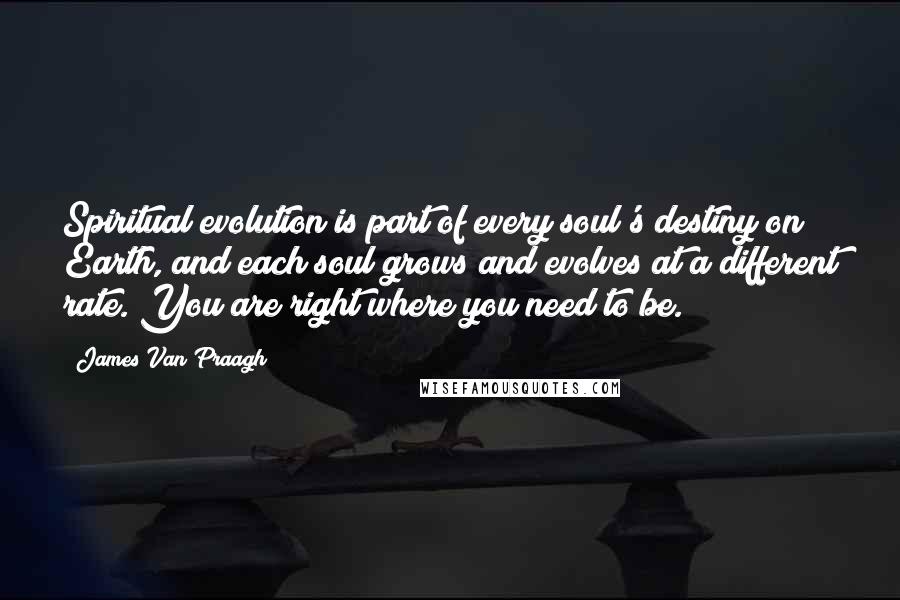 James Van Praagh Quotes: Spiritual evolution is part of every soul's destiny on Earth, and each soul grows and evolves at a different rate. You are right where you need to be.