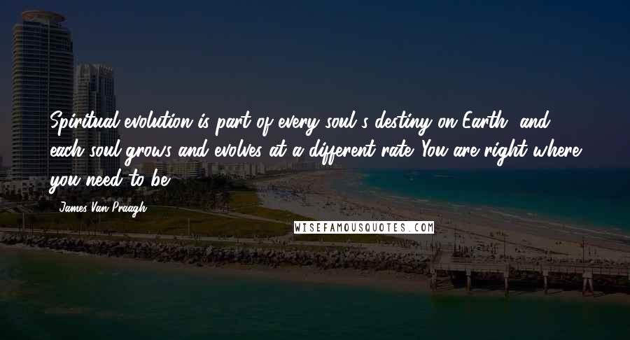 James Van Praagh Quotes: Spiritual evolution is part of every soul's destiny on Earth, and each soul grows and evolves at a different rate. You are right where you need to be.