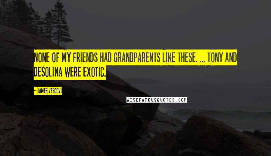 James Vescovi Quotes: None of my friends had grandparents like these. ... Tony and Desolina were exotic.