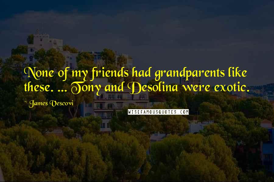 James Vescovi Quotes: None of my friends had grandparents like these. ... Tony and Desolina were exotic.