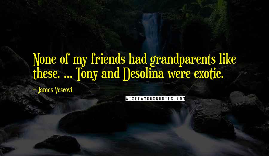 James Vescovi Quotes: None of my friends had grandparents like these. ... Tony and Desolina were exotic.