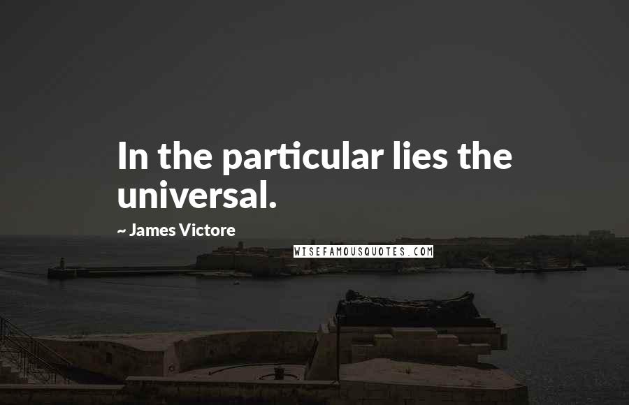 James Victore Quotes: In the particular lies the universal.