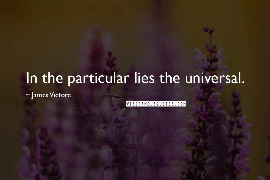 James Victore Quotes: In the particular lies the universal.