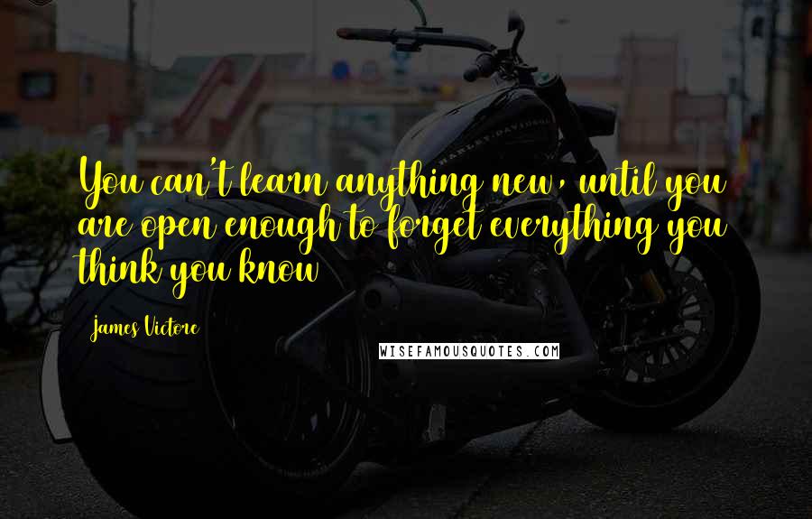 James Victore Quotes: You can't learn anything new, until you are open enough to forget everything you think you know