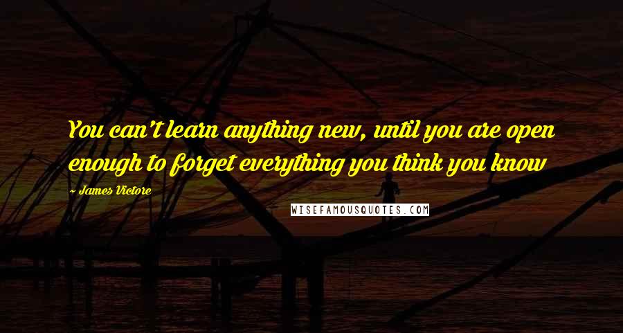 James Victore Quotes: You can't learn anything new, until you are open enough to forget everything you think you know