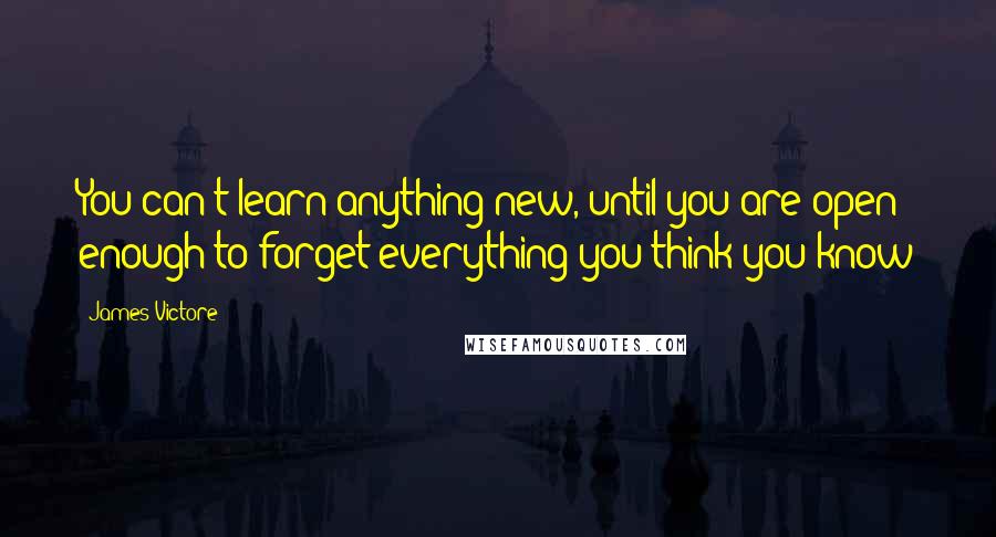 James Victore Quotes: You can't learn anything new, until you are open enough to forget everything you think you know
