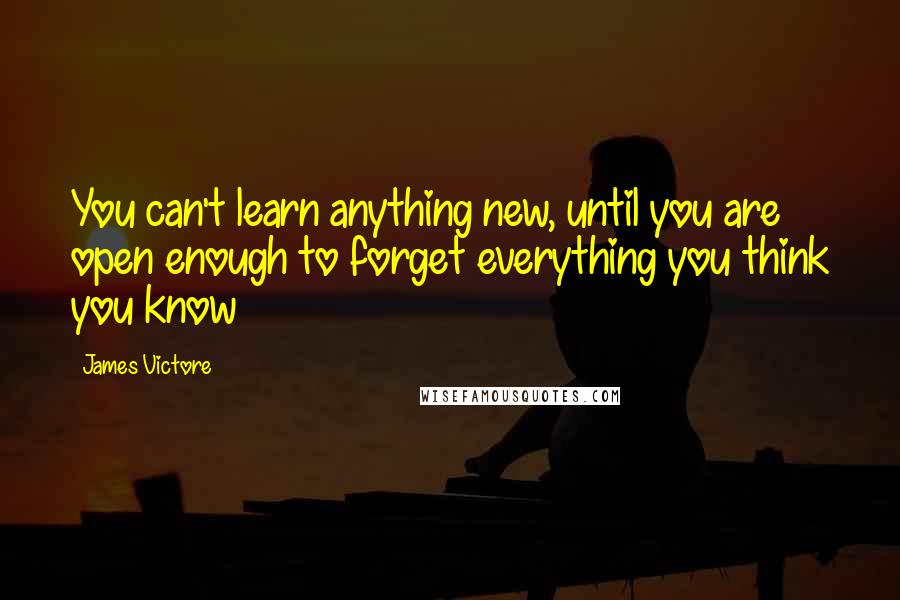 James Victore Quotes: You can't learn anything new, until you are open enough to forget everything you think you know