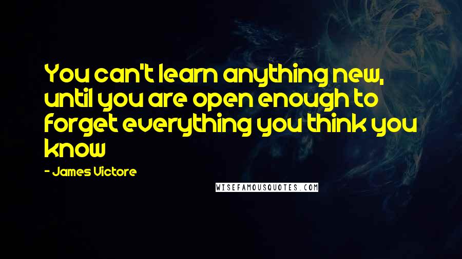 James Victore Quotes: You can't learn anything new, until you are open enough to forget everything you think you know