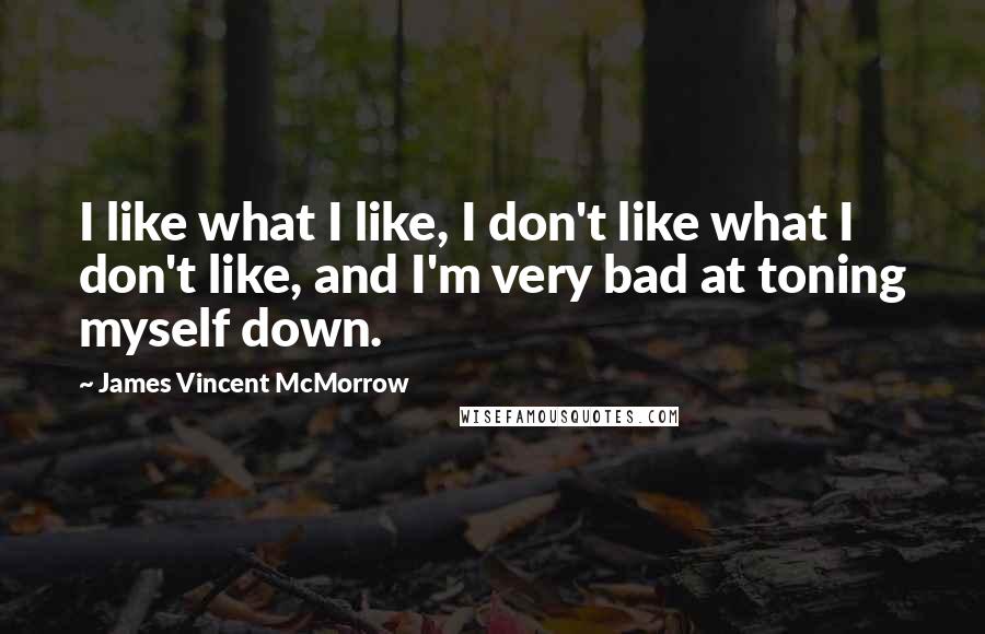 James Vincent McMorrow Quotes: I like what I like, I don't like what I don't like, and I'm very bad at toning myself down.