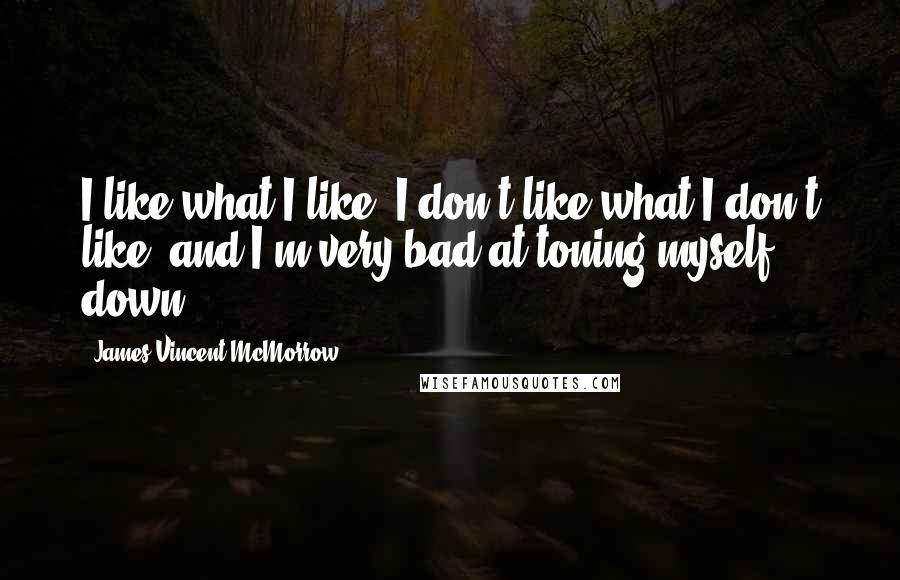 James Vincent McMorrow Quotes: I like what I like, I don't like what I don't like, and I'm very bad at toning myself down.