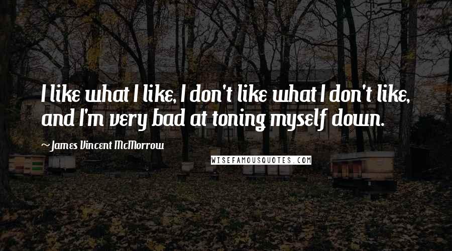 James Vincent McMorrow Quotes: I like what I like, I don't like what I don't like, and I'm very bad at toning myself down.