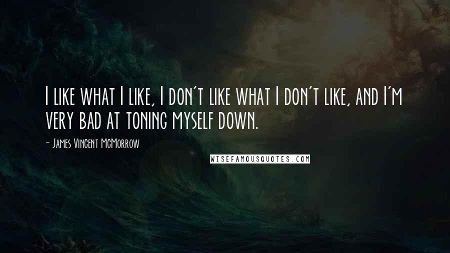 James Vincent McMorrow Quotes: I like what I like, I don't like what I don't like, and I'm very bad at toning myself down.