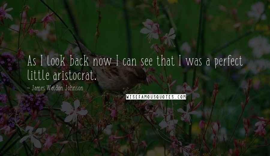 James Weldon Johnson Quotes: As I look back now I can see that I was a perfect little aristocrat.