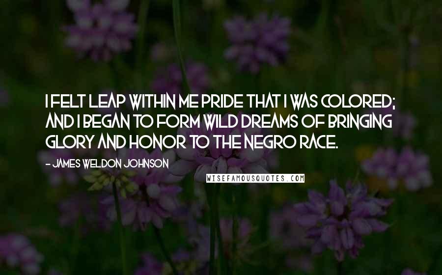 James Weldon Johnson Quotes: I felt leap within me pride that I was colored; and I began to form wild dreams of bringing glory and honor to the Negro race.