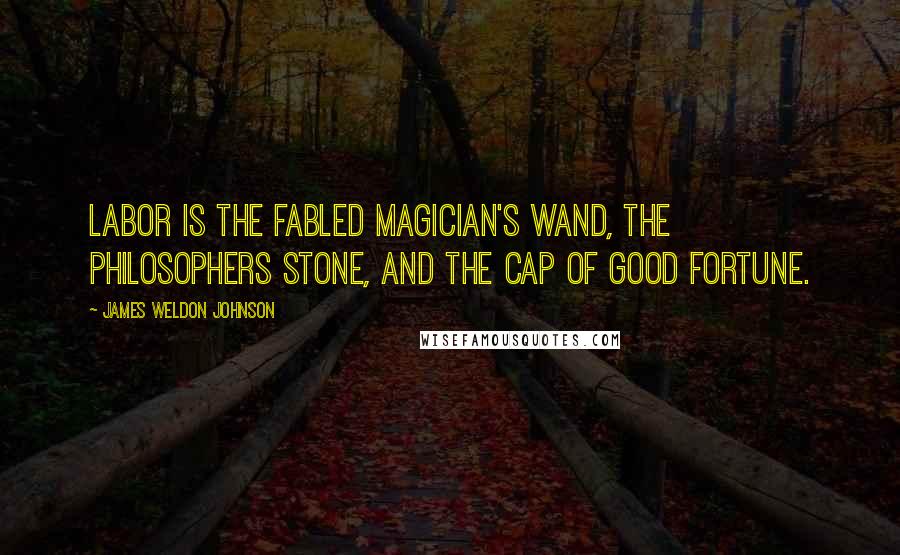 James Weldon Johnson Quotes: Labor is the fabled magician's wand, the philosophers stone, and the cap of good fortune.