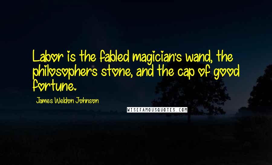 James Weldon Johnson Quotes: Labor is the fabled magician's wand, the philosophers stone, and the cap of good fortune.