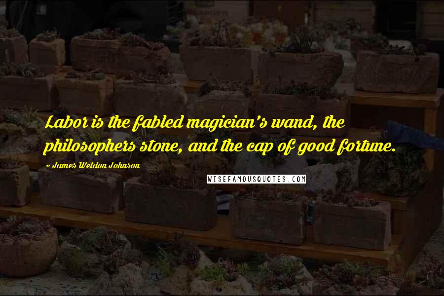 James Weldon Johnson Quotes: Labor is the fabled magician's wand, the philosophers stone, and the cap of good fortune.