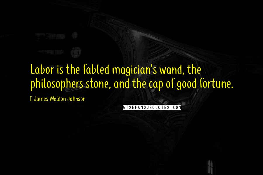 James Weldon Johnson Quotes: Labor is the fabled magician's wand, the philosophers stone, and the cap of good fortune.