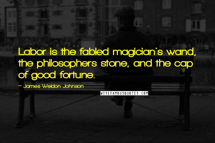 James Weldon Johnson Quotes: Labor is the fabled magician's wand, the philosophers stone, and the cap of good fortune.